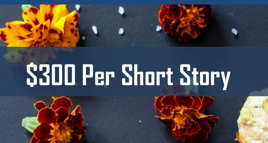 Recommended Reading Pays 300 Per Short Story